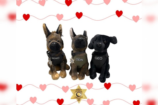 Ozaukee County Sheriff's Office Offers K9 Plushies for Valentine's Day Fundraiser