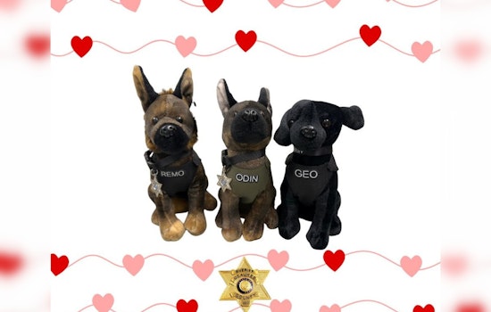 Ozaukee County Sheriff's Office Offers K9 Plushies for Valentine's Day Fundraiser