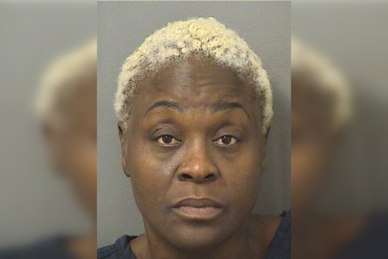 Palm Beach County School Employee Charged with Child Abuse After Altercation on Bus at Dwyer High School