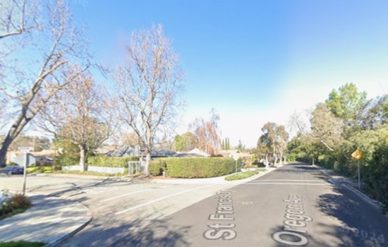 Palo Alto Jogger Struck In Crash Dies From Injuries, Cops Say