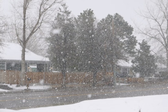 Paradise Grinds to a Halt as Ridge Snow Closes Schools, Wrecks Morning Drive