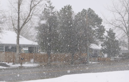 Paradise Grinds to a Halt as Ridge Snow Closes Schools, Wrecks Morning Drive