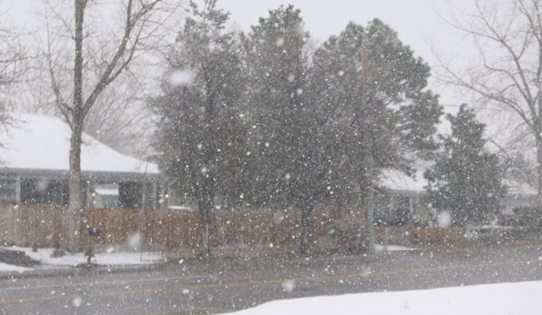 Paradise Grinds to a Halt as Ridge Snow Closes Schools, Wrecks Morning Drive