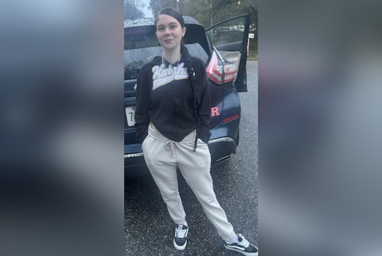 Pasco Sheriff's Office Leads Urgent Search for Missing Teen Mariah Alley in Wesley Chapel