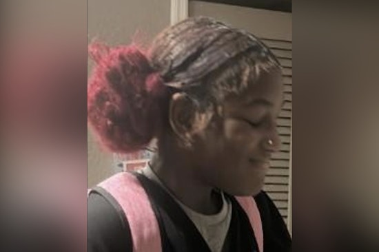 Pasco Sheriff's Office Seeks Public Help to Find Missing Teen Lanasia Taylor in Land O' Lakes