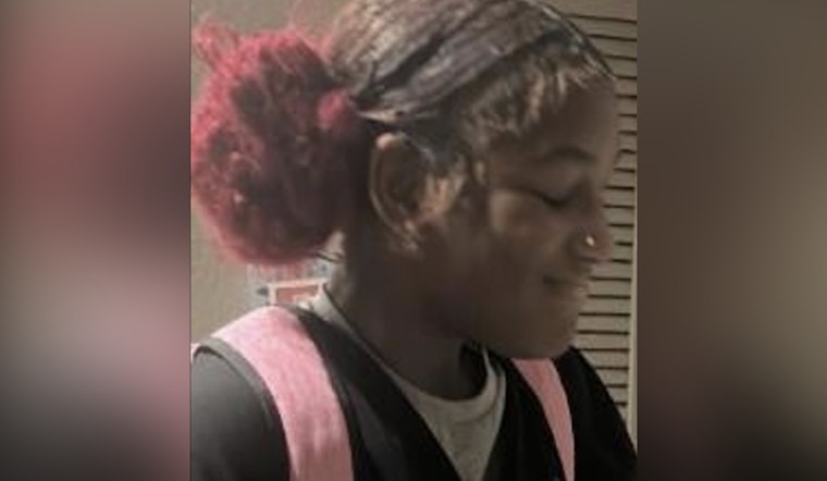 Pasco Sheriff's Office Seeks Public Help to Find Missing Teen Lanasia Taylor in Land O' Lakes