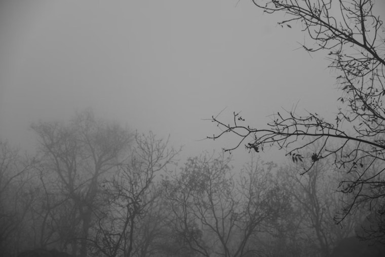 Houston Wakes To Foggy Commute As Valentine’s Weekend Storms Loom