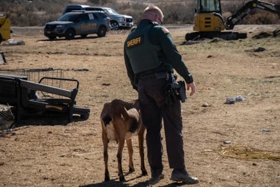 Peach Valley Road Bust: 150 Animals Seized, Delta Woman Hit With 141 Counts