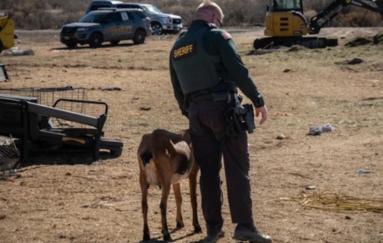 Peach Valley Road Bust: 150 Animals Seized, Delta Woman Hit With 141 Counts