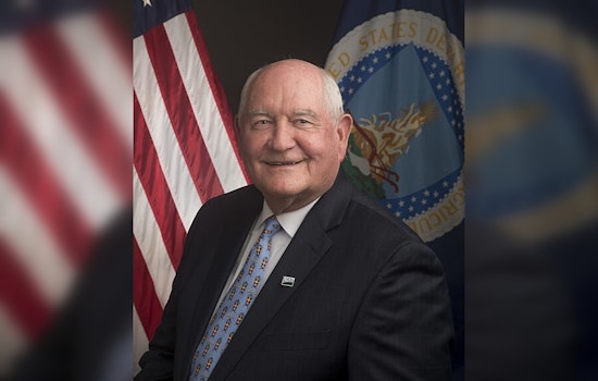 Perdue Flips On Online Classes As Kemp Dangles $325 Million College Lifeline