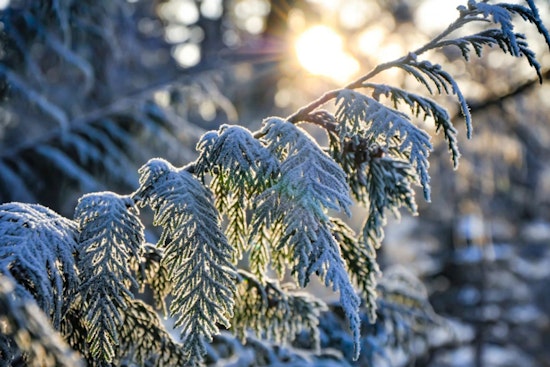 Philadelphia Battles Bitter Cold as NWS Issues Advisory for Sub-Zero Wind Chills