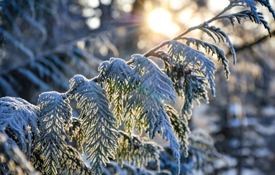 Philadelphia Battles Bitter Cold as NWS Issues Advisory for Sub-Zero Wind Chills