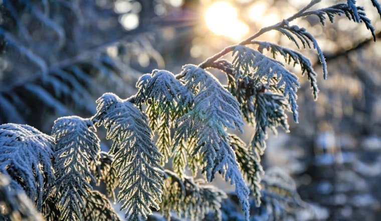 Philadelphia Battles Bitter Cold as NWS Issues Advisory for Sub-Zero Wind Chills