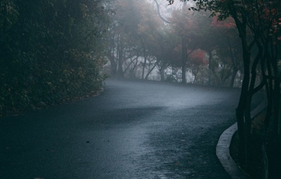 Philly Wakes to Icy Fog as Sunday Chill Creeps Back