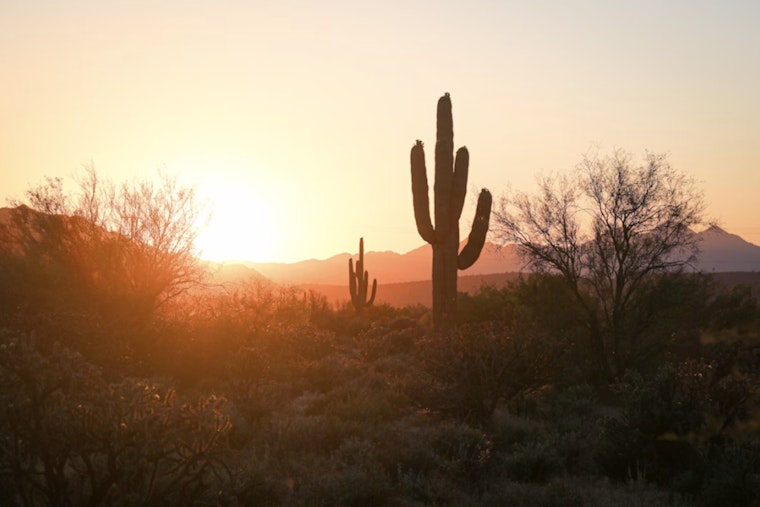 Phoenix Heats Up Like It’s April As Desert Temps Push 90