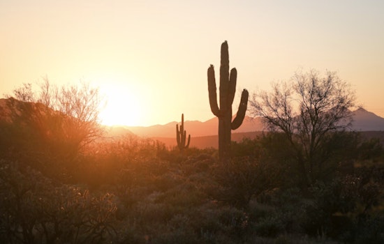 Phoenix Heats Up Like It’s April As Desert Temps Push 90