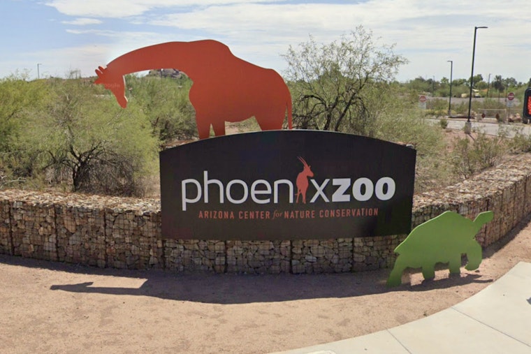 Phoenix Zoo Plans Sahuarita Conservation Park