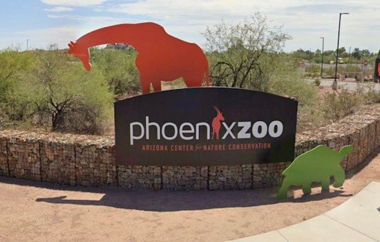 Phoenix Zoo Plans Sahuarita Conservation Park