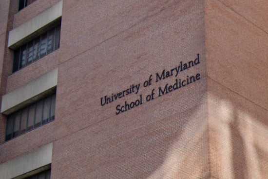 Pigtown Professor Returns From Break To Find Strangers, Fake Lease And An $80K Mess