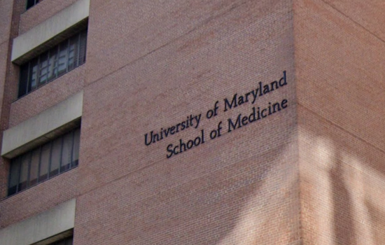 Pigtown Professor Returns From Break To Find Strangers, Fake Lease And An $80K Mess