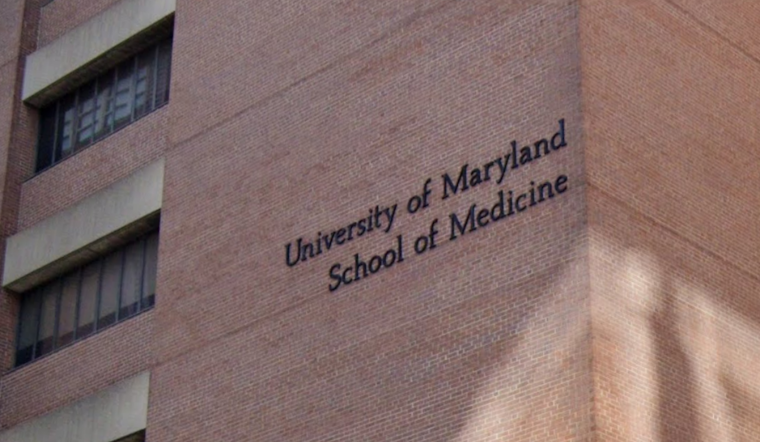 Pigtown Professor Returns From Break To Find Strangers, Fake Lease And An $80K Mess