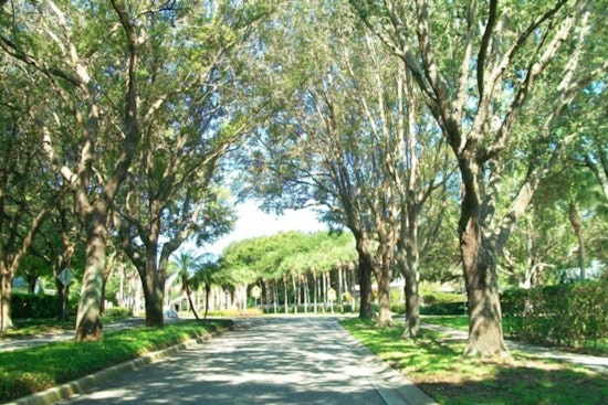 Pinellas County Streamlines Tree Removal Permit Process, Offers Incentives for Planting Native Flora