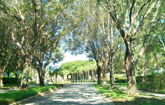 Pinellas County Streamlines Tree Removal Permit Process, Offers Incentives for Planting Native Flora