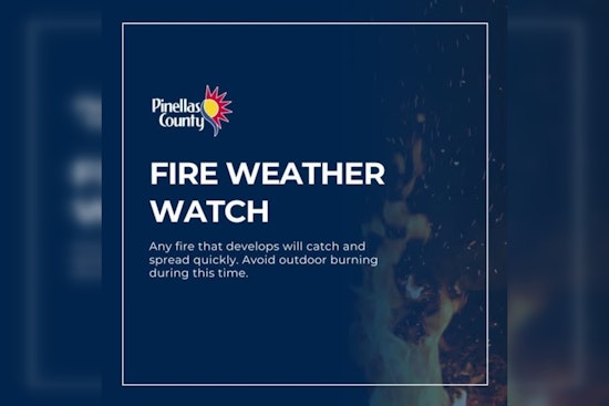 Gusty Winds Turn Pinellas Into Tinderbox Under Fire Weather Watch