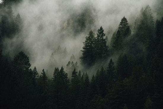 Portland Crawls Through Morning Fog, Cruises Into Afternoon Sun