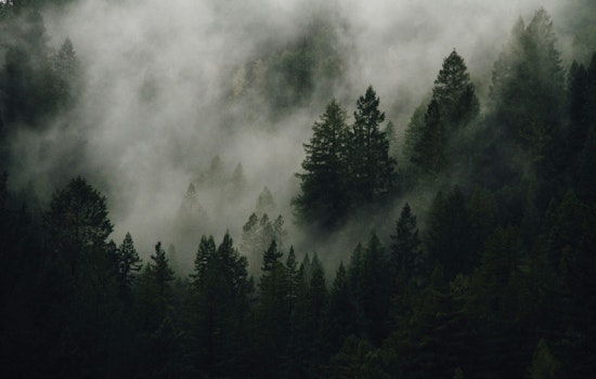 Portland Crawls Through Morning Fog, Cruises Into Afternoon Sun