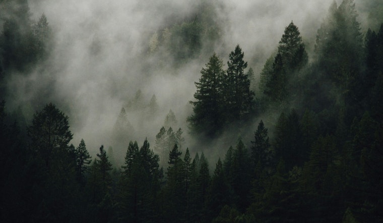 Portland Crawls Through Morning Fog, Cruises Into Afternoon Sun