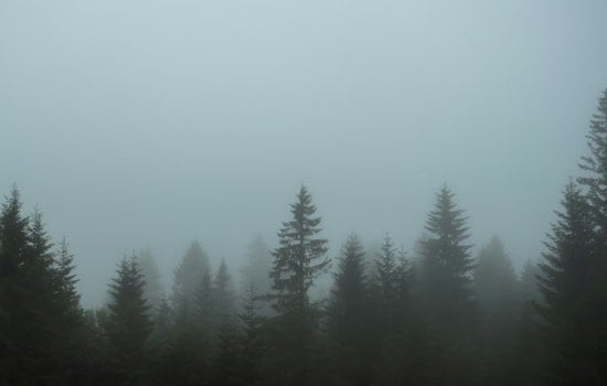 Soggy Portland Stuck In Drizzle And Fog Through Monday Morning