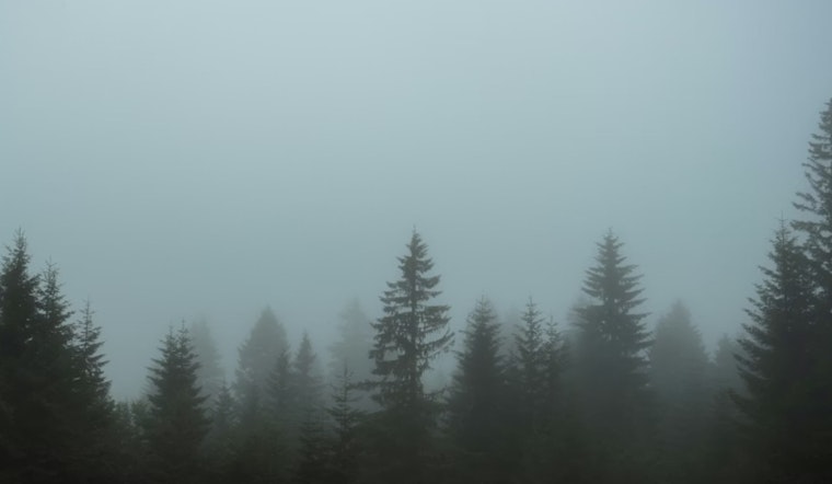 Soggy Portland Stuck In Drizzle And Fog Through Monday Morning