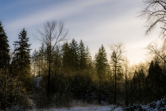 Portland Wakes To Frosty Fog, Cashes In On Afternoon Sun