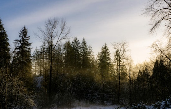Portland Wakes To Frosty Fog, Cashes In On Afternoon Sun