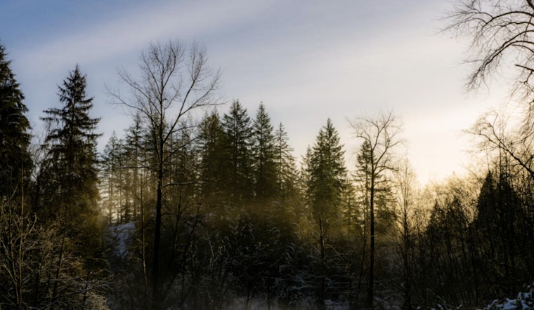 Portland Wakes To Frosty Fog, Cashes In On Afternoon Sun