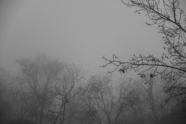 Fog, Drizzle And Sneaker Waves Put Portland Weekend On Alert