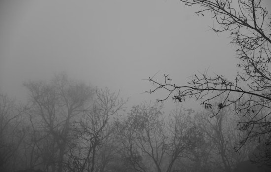 Fog, Drizzle And Sneaker Waves Put Portland Weekend On Alert