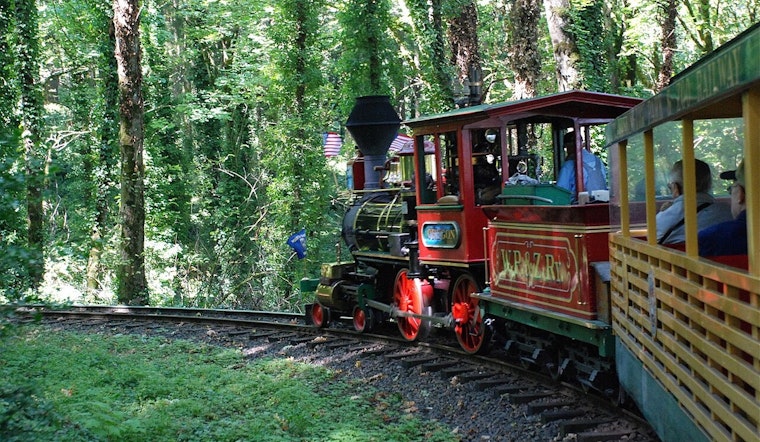 Tiny Portland Zoo Train Creeps Closer To Full Forest Comeback