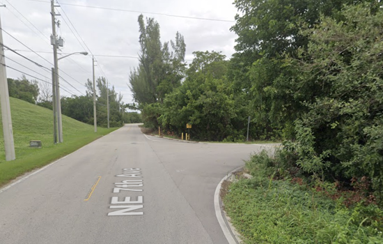 Portside Showdown In Dania Beach as Neighbors Battle To Save Mangroves