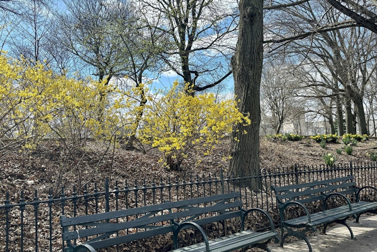 Prospect Heights Hill Showdown Neighbors Oppose Skate Garden Plan