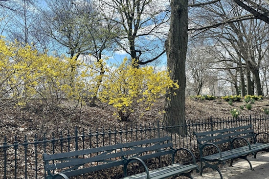 Prospect Heights Hill Showdown Neighbors Oppose Skate Garden Plan