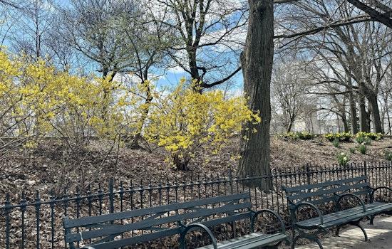 Prospect Heights Hill Showdown Neighbors Oppose Skate Garden Plan