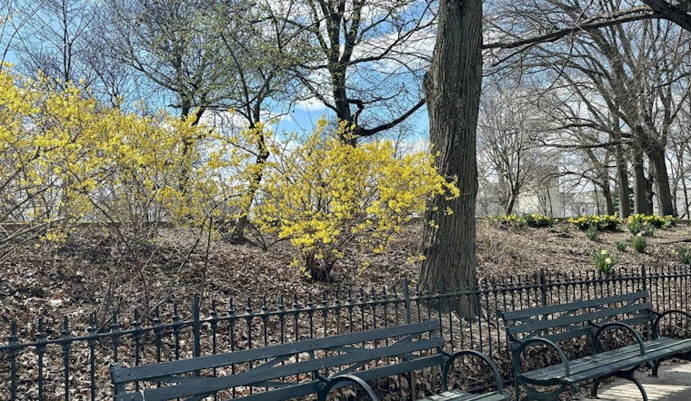 Prospect Heights Hill Showdown Neighbors Oppose Skate Garden Plan