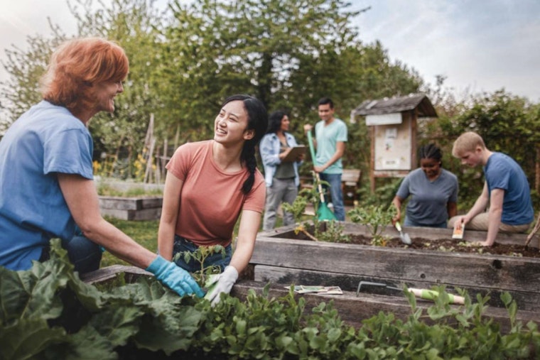 Raleigh Community Invited to Explore Urban Agriculture at Marsh Creek Community Center Open House