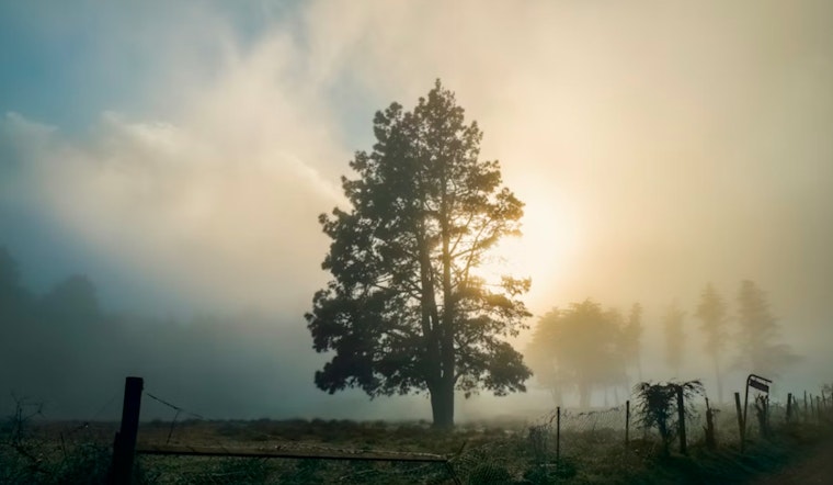 Raleigh Crawls Through Morning Fog As Sunny Skies And Warmer Days Move In