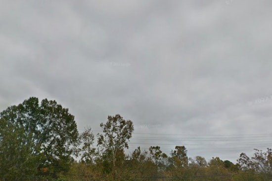 Raleigh Shivers In Windy Chill As Soggy Warm-Up Looms