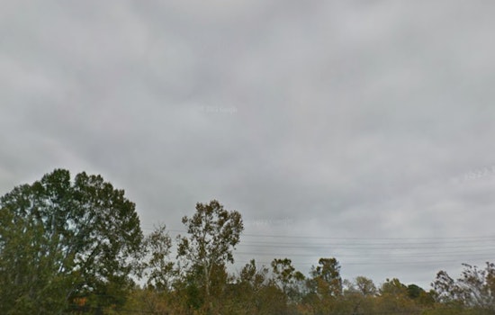Raleigh Shivers In Windy Chill As Soggy Warm-Up Looms