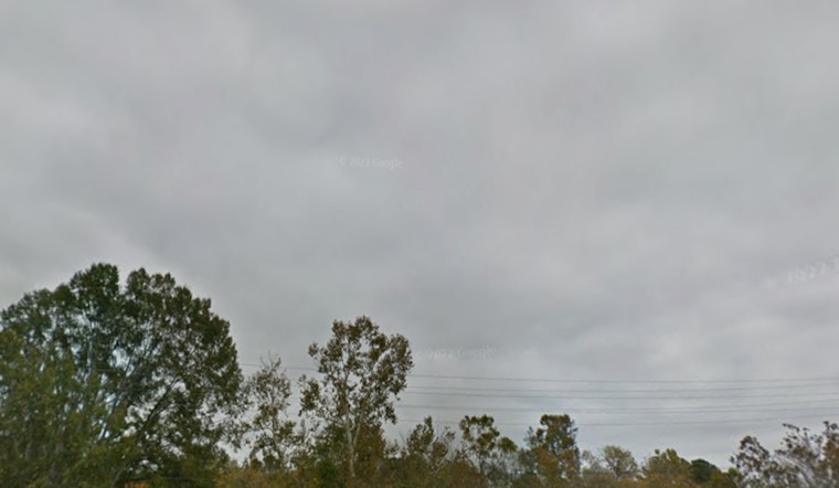 Raleigh Shivers In Windy Chill As Soggy Warm-Up Looms