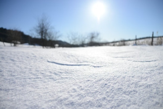 Raleigh Wakes Up Freezing, Then Gets Smacked With Midweek Winds and Late-Week Soaker